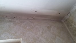 20160622_181555.jpg