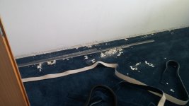 20160716_105204.jpg