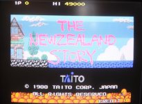 nzs_07.jpg