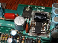 ladybug_1_8.jpg
