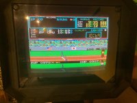 IMG_1041.jpg